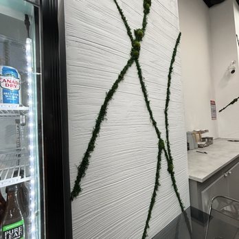 Dear Pasta - Pasta Shops Near Me - New York, New York