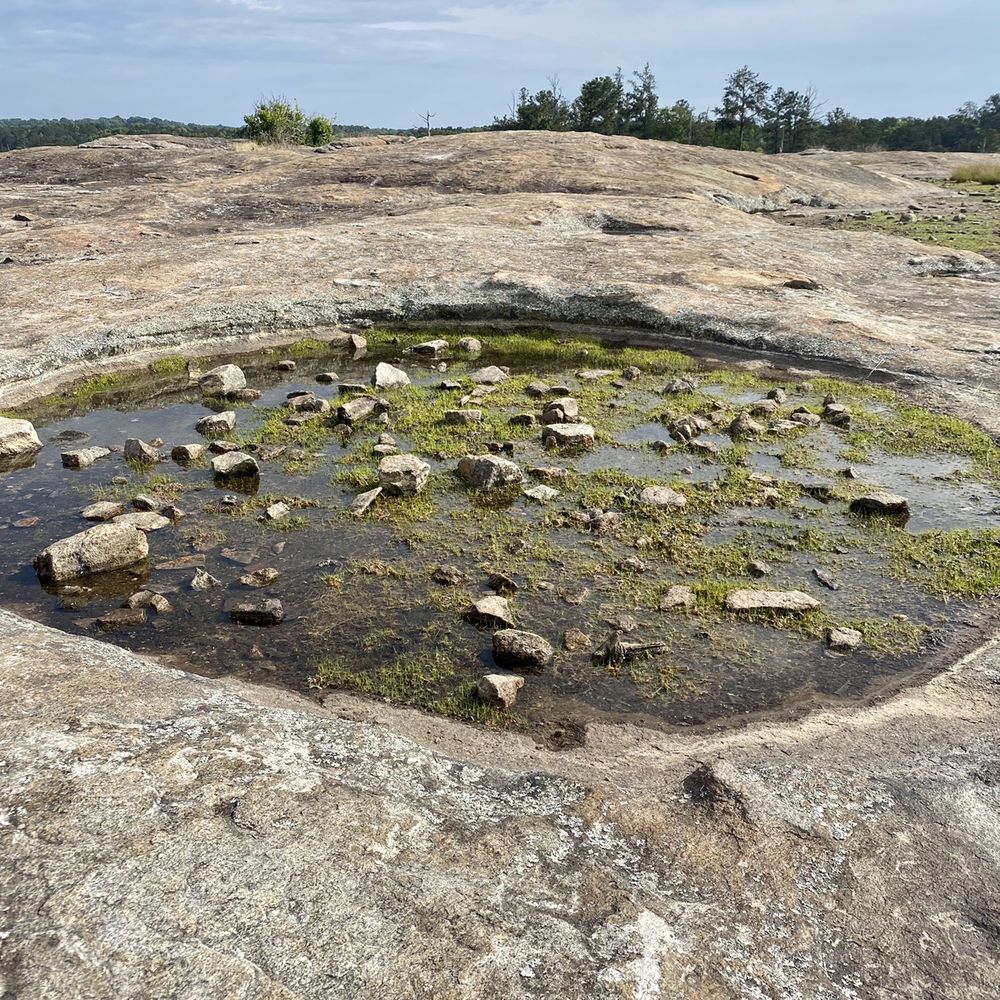 Arabia Mountain Trail - Climbing Near Me - Lithonia, Georgia Arabia Mountain Trail - Climbing Near Me - Lithonia, Georgia