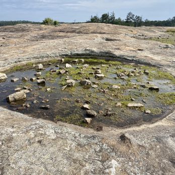 Arabia Mountain Trail - Climbing Near Me - Lithonia, Georgia