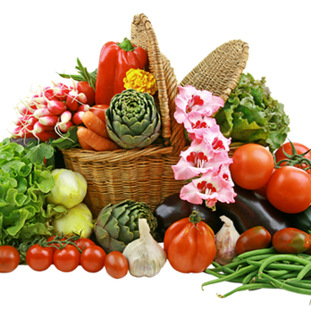 Embrace Nutrition - Beautiful Bounty - Nutritionists Near Me Embrace Nutrition - Beautiful Bounty - Nutritionists Near Me