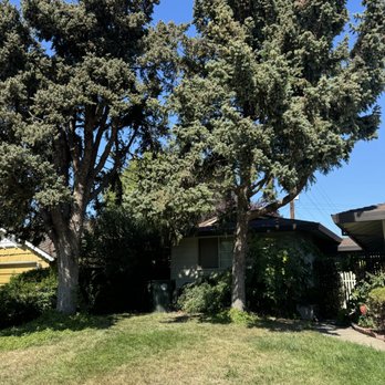 FC Valley Tree Care - Tree Services Near Me - Anderson, California FC Valley Tree Care - Tree Services Near Me - Anderson, California
