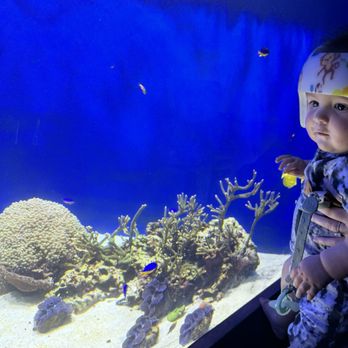 Birch Aquarium - Aquariums Near Me - La Jolla, California