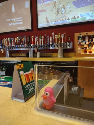 Buffalo Wild Wings by null