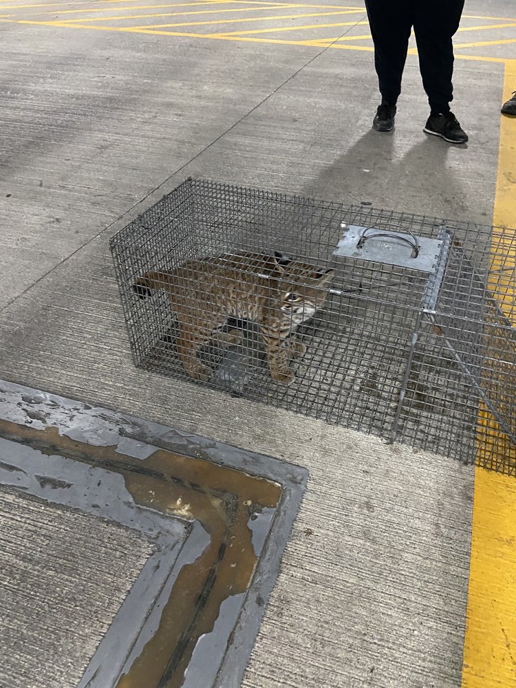 WILLARD’S PEST CONTROL - Updated October 2024 - 19 Photos & 87 Reviews ...