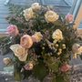 Photo of Always in Bloom