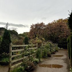 Dunbar's Close gardens