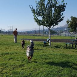 Another view of same area. There is even a Sandy digging area. There is a gazebo with picnic table just past the right edge of the picture.