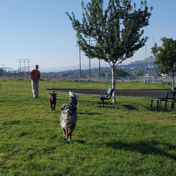 Badger Mountain Community Park - Another view of same area. There is even a Sandy digging area. There is a gazebo with picnic table just past the right edge of the picture. - Dog Parks Near Me - Richland, Washington