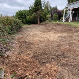 Finished Back Yard Following The Removal of 30 Stumps.
