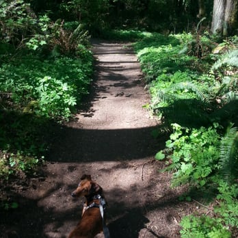 Carkeek Park - Parks Near Me - Seattle, Washington