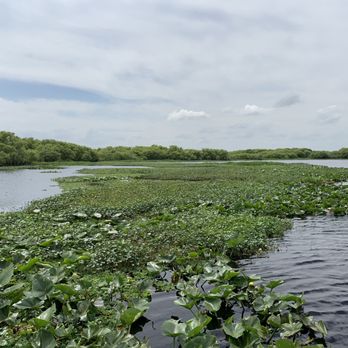 Airboat Rides Melbourne - Lake - Boat Tours Near Me - Melbourne, Florida Airboat Rides Melbourne - Lake - Boat Tours Near Me - Melbourne, Florida