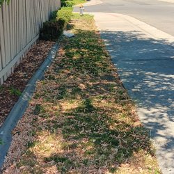 Clean & Green Lawn Service