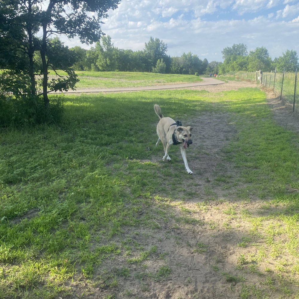 Bunker Hills Dog Park - Dog Parks Near Me - Coon Rapids, Minnesota