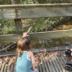 Wetlands Park