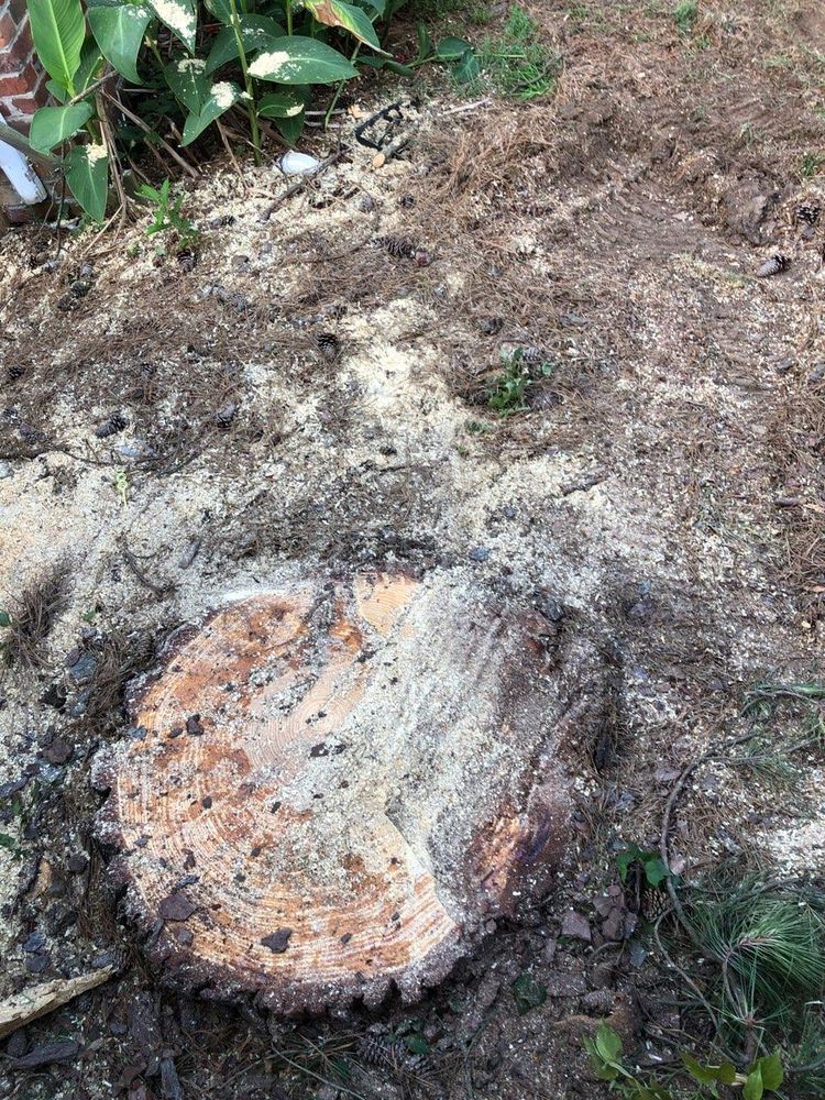 STRATTON LANDSCAPING Updated June 2024 27 Photos & 13 Reviews