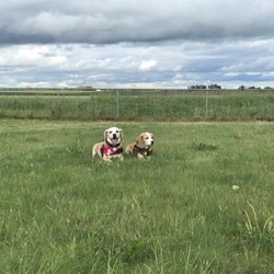 CPL Jim Galloway Memorial Offleash Area