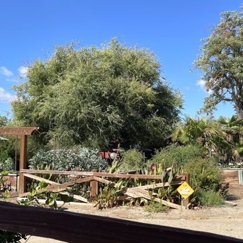 Cass Winery - CASS Garden -- view from the patio seating area - Wineries Near Me - Paso Robles, California Cass Winery - CASS Garden -- view from the patio seating area - Wineries Near Me - Paso Robles, California
