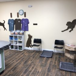 Our reception is divided into a cat and separate dog side for anxiety reduction of both species when visiting.