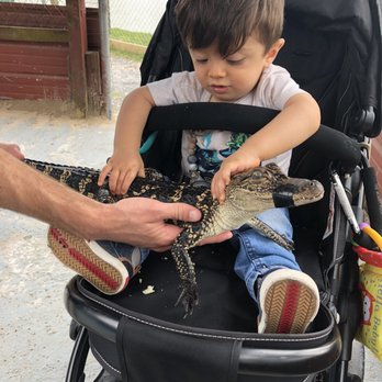 Gator Country - Zoos Near Me - Beaumont, Texas Gator Country - Zoos Near Me - Beaumont, Texas