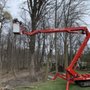 Photo of Redd's Tree Service