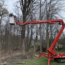 Redd's Tree Service - Boom lift