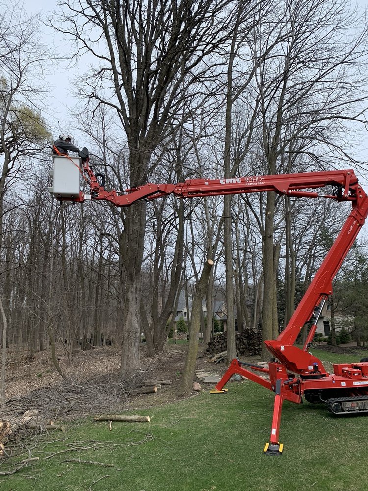 Redd's Tree Service - tree service in Livonia, MI