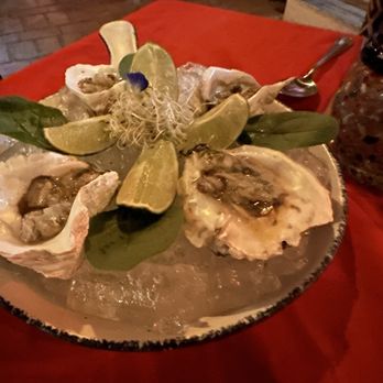 Casa Mar 1928 - Oyster - Mexican Near Me - Puerto Vallarta, JAL