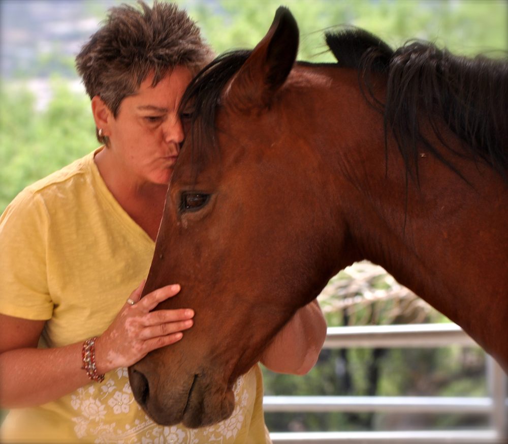 Wolfheals Shamanic Services - child therapist in Boulder, CO