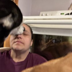 Andrea’s Pet & House Sitting