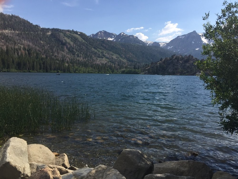 Rose Hanna Counseling Services - grief counselor in Long Beach, CA