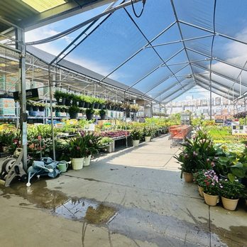 The Home Depot - Nurseries & Gardening Near Me - Saint Cloud, Florida The Home Depot - Nurseries & Gardening Near Me - Saint Cloud, Florida