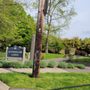 Photo of Eastmoreland Garden