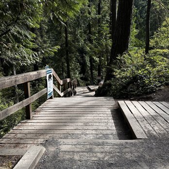 Lynn Canyon Park - Parks Near Me - North Vancouver, British Columbia