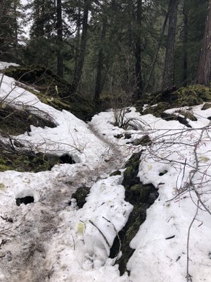 Tamolitch Falls (Blue Pool) by null