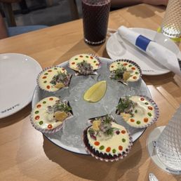 Conchas Conchas