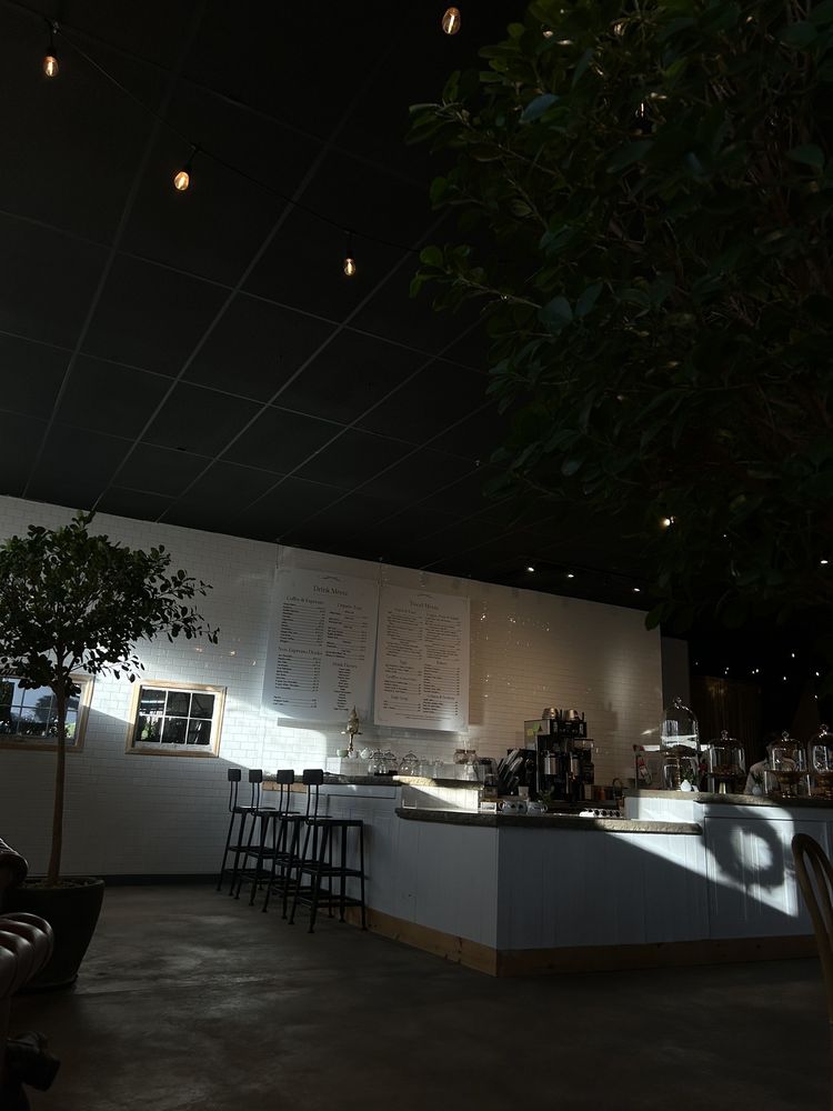 CENTRAL PARK FLOWERS Updated September 2024 100 S Abington Rd