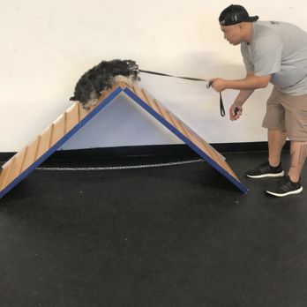 RFRD Academy - Pet Training Near Me - San Jose, California