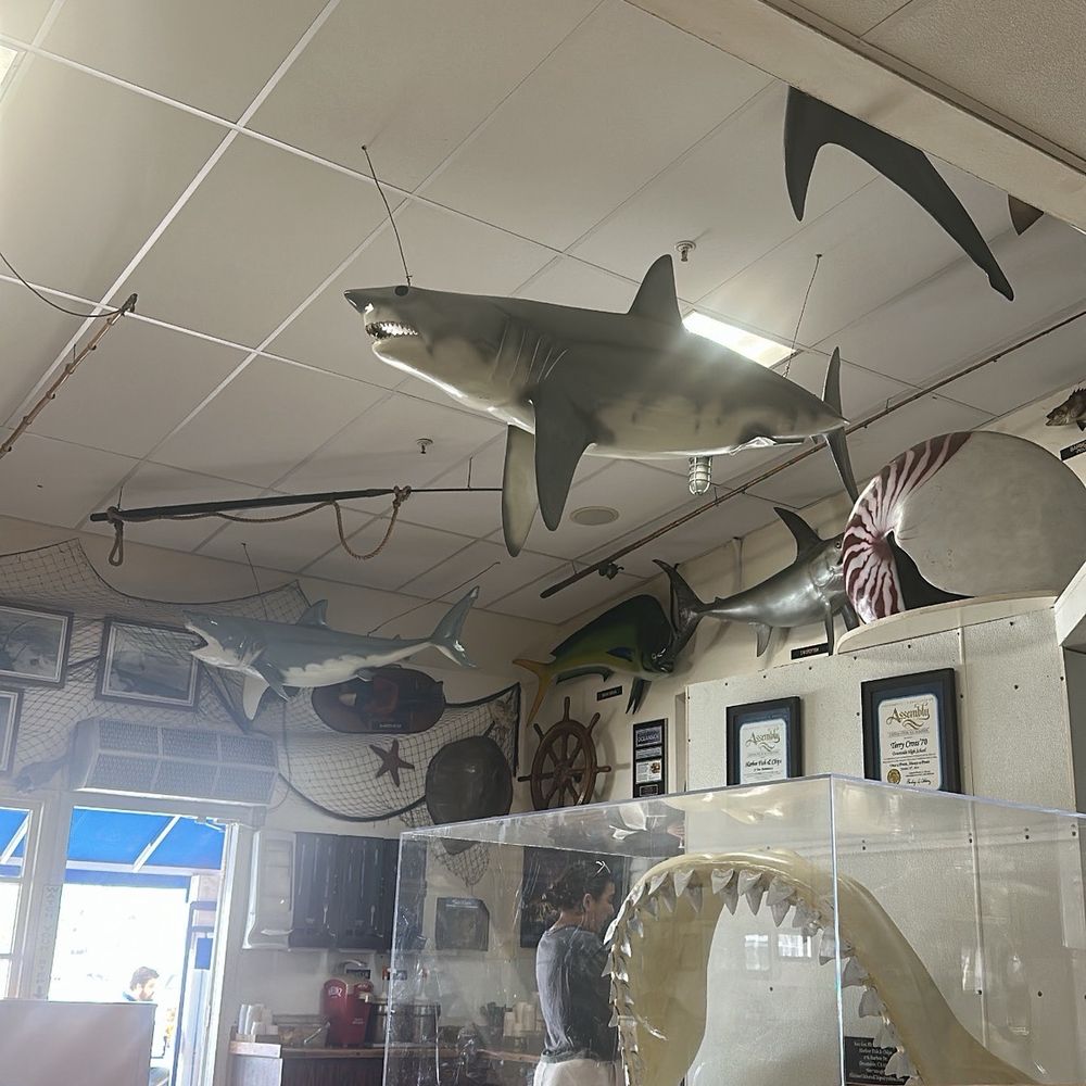 Harbor Fish & Chips - Fish & Chips Near Me - Oceanside, California Harbor Fish & Chips - Fish & Chips Near Me - Oceanside, California