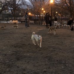 Murray Dog Run