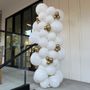 Photo of Air Ivy Balloons