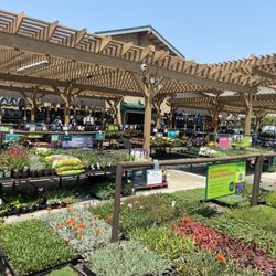 Armstrong Garden Centers