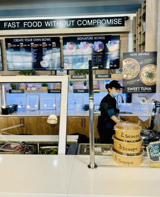 Sweet Tuna Halcyon by null