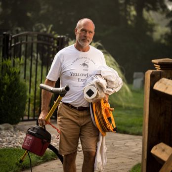 The Yellow Jacket Expert - Pest Control Near Me - West Hartford, Connecticut The Yellow Jacket Expert - Pest Control Near Me - West Hartford, Connecticut