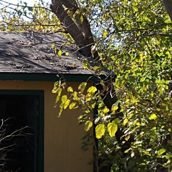 ALL American Trees And More - Tree Services Near Me ALL American Trees And More - Tree Services Near Me