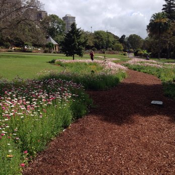 Royal Botanic Gardens - Botanical Gardens Near Me - Sydney, NSW Royal Botanic Gardens - Botanical Gardens Near Me - Sydney, NSW