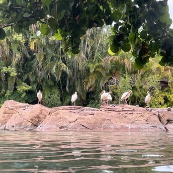 Discovery Cove - Amusement Parks Near Me - Orlando, Florida