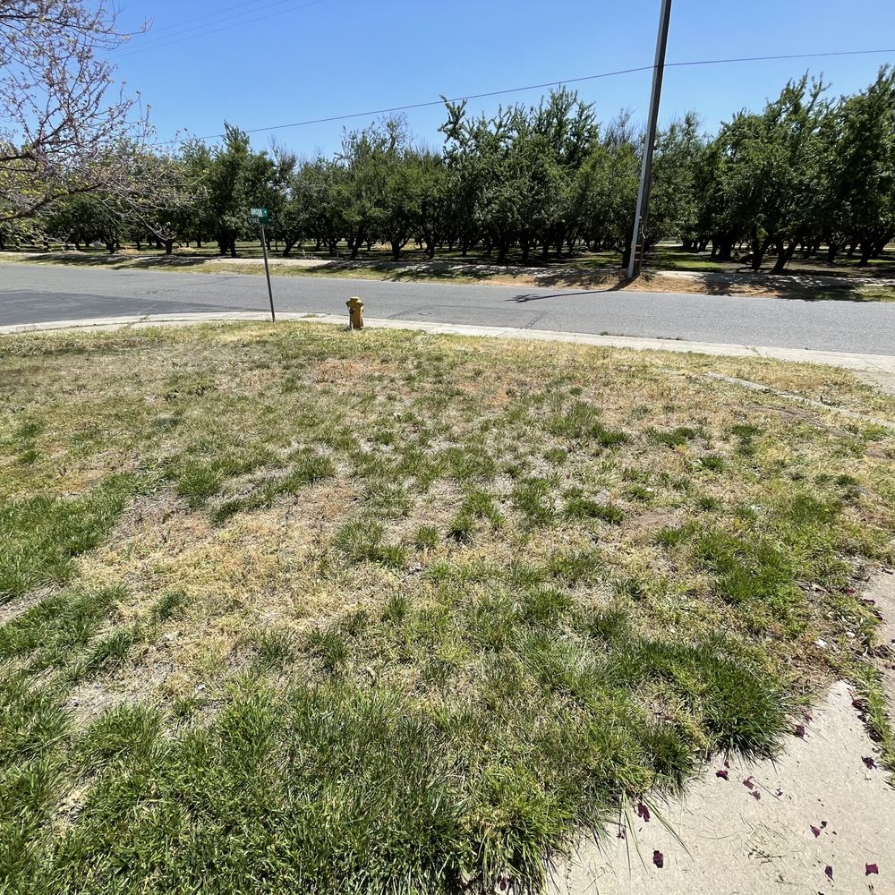 C & J Landscape Service - *Before Pic for Reference* - Landscaping Near Me C & J Landscape Service - *Before Pic for Reference* - Landscaping Near Me