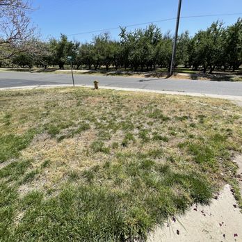 C & J Landscape Service - *Before Pic for Reference* - Landscaping Near Me C & J Landscape Service - *Before Pic for Reference* - Landscaping Near Me