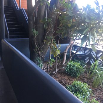 The Dylan At SFO - Hotels Near Me - Millbrae, California The Dylan At SFO - Hotels Near Me - Millbrae, California