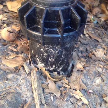 Heads Up Sprinkler - Irrigation Near Me - Plano, Texas Heads Up Sprinkler - Irrigation Near Me - Plano, Texas